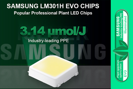 Il chip Samsung 301H EVO &egrave; stato ora aggiunto alla nostra lista di opzioni personalizzabili.png