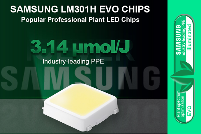 Newsletter: Il chip Samsung 301H EVO &egrave; stato ora aggiunto al nostro elenco di opzioni personalizzabili.